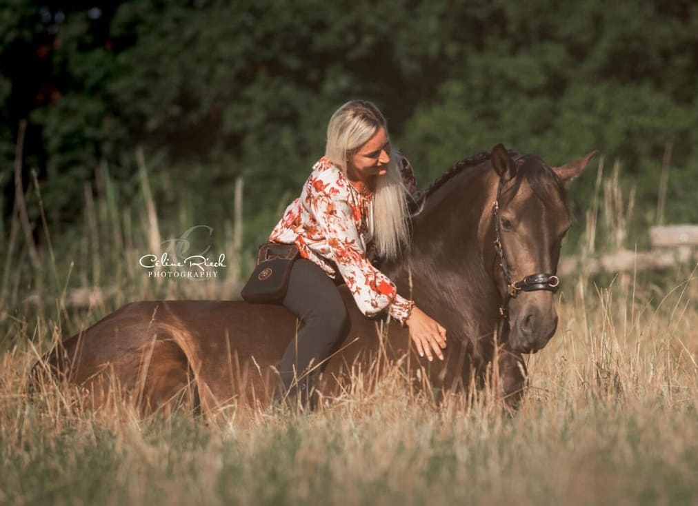 Online riding school - Carina Dörfler - Gestüt Moorhof